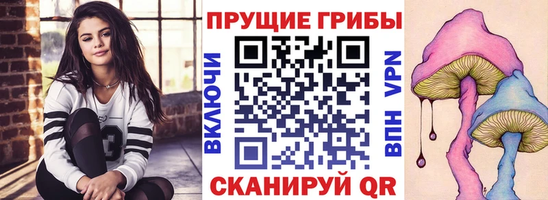 Галлюциногенные грибы Psilocybe  Пенза 